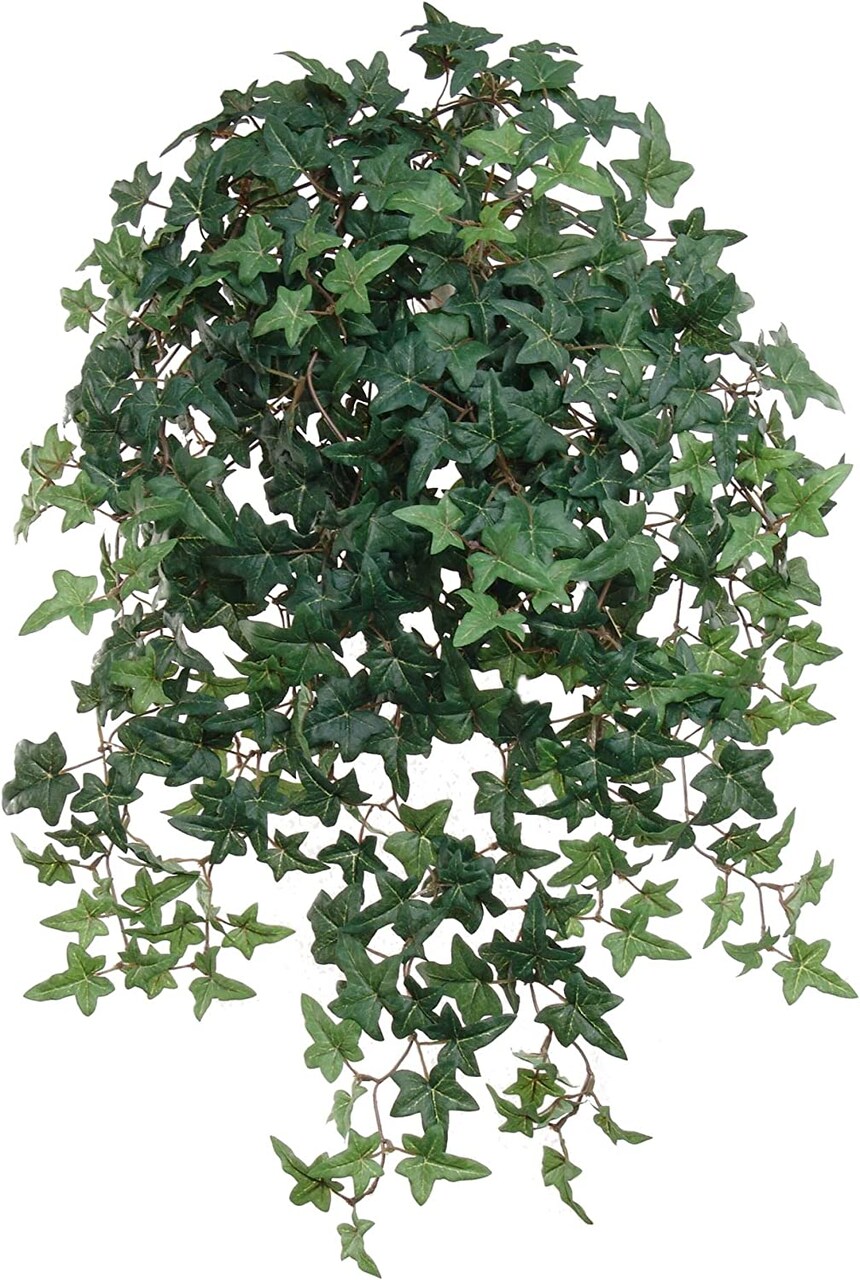 Set of 2: Hanging English Ivy Bushes with 450 Lifelike Silk Leaves | 27-Inch | UV Resistant | Indoor/Outdoor Use | Faux Greenery | Home & Office Decor, Floral Home by Artificial Flowers